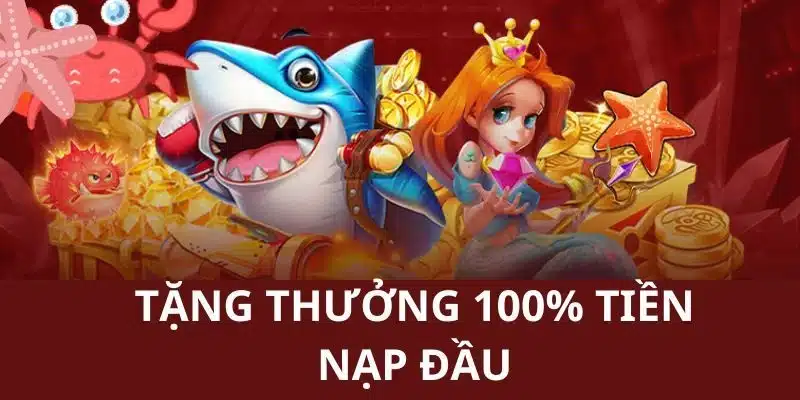 Giới thiệu chương trình tặng thưởng 100% tiền nạp đầu